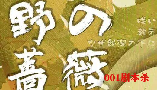1e20200f0cb5905 - 剧本杀野蔷薇复盘：凶手日记密码剧透解析
